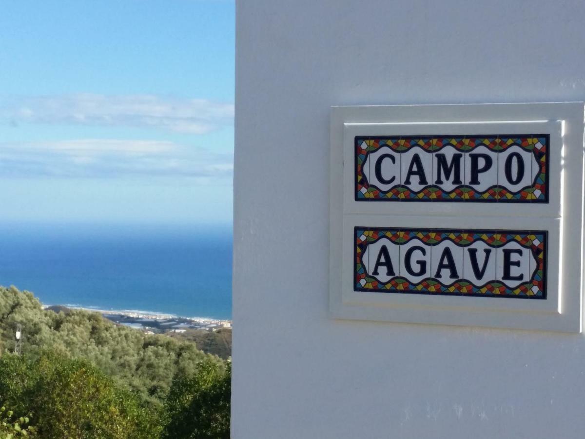 Campo Agave B&B Sayalonga Exteriör bild